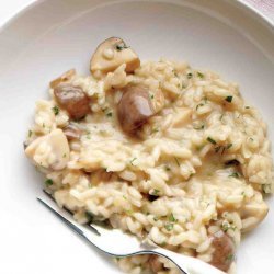 Mushroom Risotto With Herbs