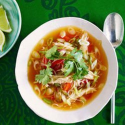 Asian Chicken-Noodle Soup