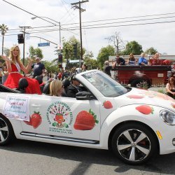 Strawberry Parade