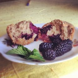 Mulberry Muffins