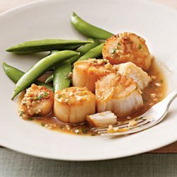 Pan Roasted Scallops With Sesame Sauce