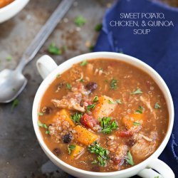 Chicken and Salsa Soup