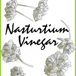 Nasturtium Vinegar