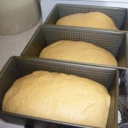 100% Whole Wheat Bread for Bread Machine