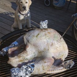 Barbecued Turkey