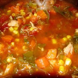 Mouthful of Spice Chicken Vegetable Soup