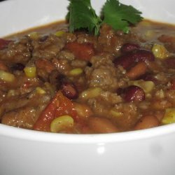 Spicy Hot Taco Soup/Chili