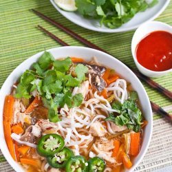 Asian Chicken and Noodles