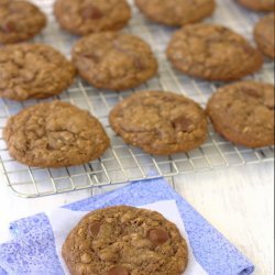 Cocoa Chocolate Chip Cookies