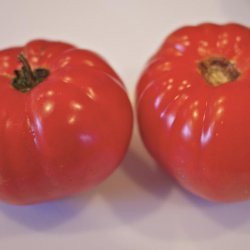 Two - Tomato Salad