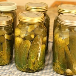 Never Fail Dill Pickles