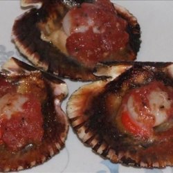 BBQ Scallops in Shell With Tomato