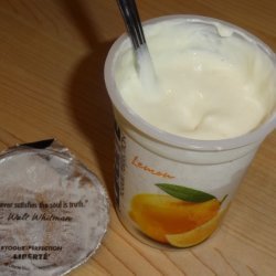 Yogurt With Mandarin Oranges