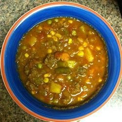 Spicy Beef Vegetable Stew