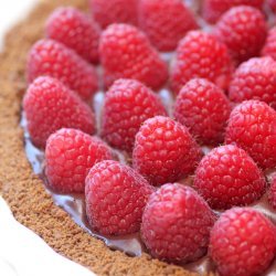 Chocolate Raspberry Tart With Gingersnap Crust