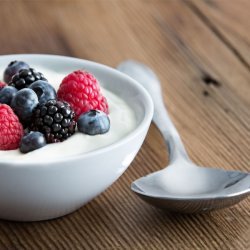 Healthy Berry Berry Frozen Yogurt