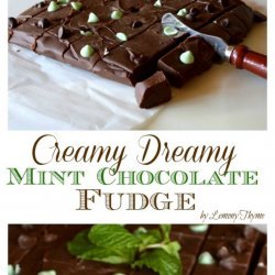 Creamy Chocolate Mint Fudge!