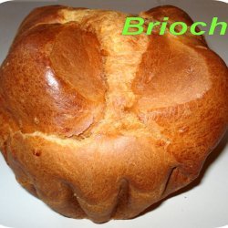 Brioche