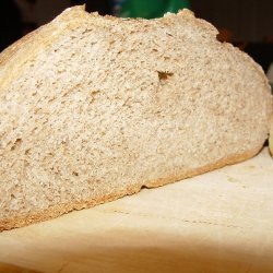 100% Whole Wheat No Knead Bread