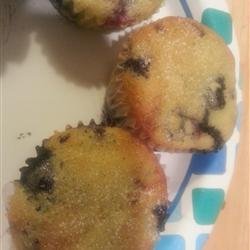 Best Lactose Free Blueberry Muffins