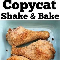 Shake-N-Bake Copycat