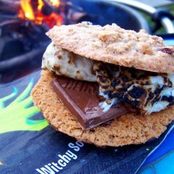 Oatmeal Chocolate Chip Raisin Cookie S'mores