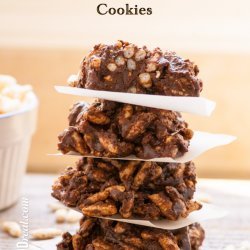 No Bake Chocolate Protein Cookies