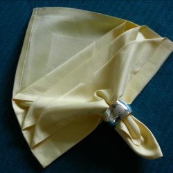 Serviette/Napkin,  Soft and Sophisticated