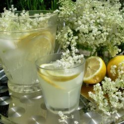 Prelude to Summer - Old Fashioned English Elderflower Cordial