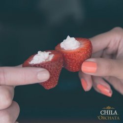 Vanilla Stuffed Strawberries