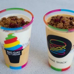 Shake-It-Up Ice Cream