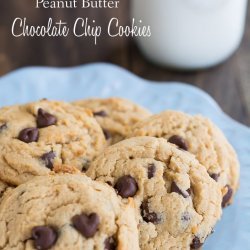 Peanut Butter N' Chocolate Chip Cookies