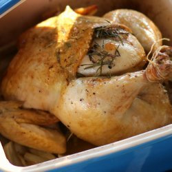 Roasted Chicken With Fennel