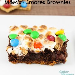 Mommy Brownies