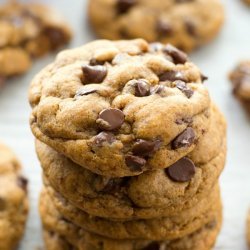 Two Chocolate-Chocolate Chip Cookies