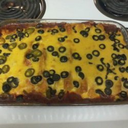 Refried Bean and Lentil Enchiladas