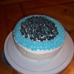 Easy 2-Layer Blueberry Cake