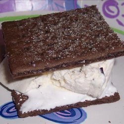 S'mores Chocolate Chip Ice Cream Sandwiches