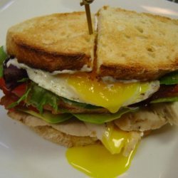 Grilled Chicken Club With Avocado and Fried Egg