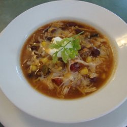Salsa Bean Soup