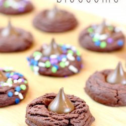 Soft Chocolaty Cookies