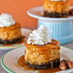 Pumpkin Cheesecake With Gingersnap Crust (12 )
