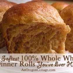 Whole Wheat Soft Dinner Rolls