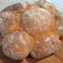 Thermomix Basic Bread
