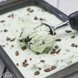 Mint Chocolate-Chip Ice Cream
