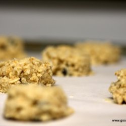 Oatmeal Coconut Raisin Cookies