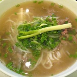 Oriental Soup