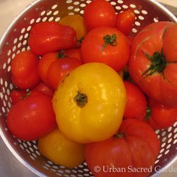 Garden Fresh Tomato Sauce