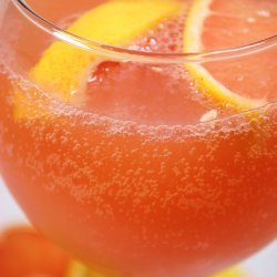 Sparkling Citrus Punch