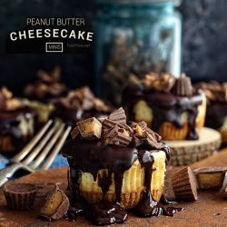 Mini Peanut Butter Cheesecakes